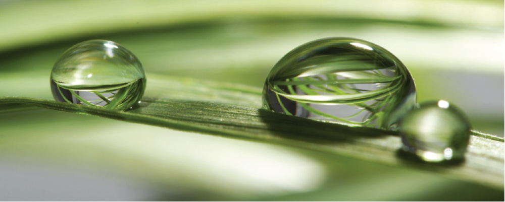 EcoVadis platinum medal